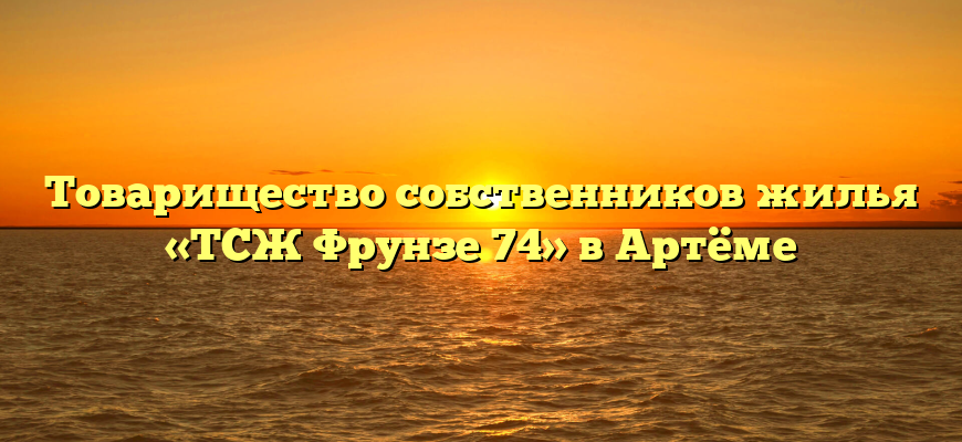 Товарищество собственников жилья «ТСЖ Фрунзе 74» в Артёме