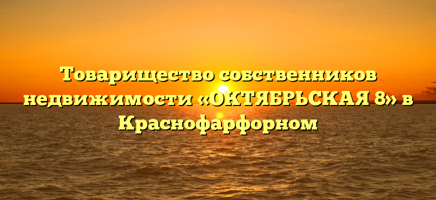 Товарищество собственников недвижимости «ОКТЯБРЬСКАЯ 8» в Краснофарфорном