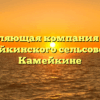 Управляющая компания «ЖКХ Камейкинского сельсовета» в Камейкине