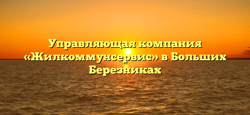 Управляющая компания «Жилкоммунсервис» в Больших Березниках