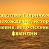 Фамилия Гавричков: происхождение, история и значение, все о склонении фамилии
