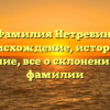 Фамилия Нетребин: происхождение, история и значение, все о склонении этой фамилии