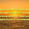 Фамилия Овчинникова: исторический обзор происхождения, значения и правильного склонения