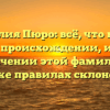 Фамилия Пюро: всё, что нужно знать о происхождении, истории и значении этой фамилии, а также правилах склонения