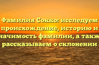 Фамилия Сокко: исследуем происхождение, историю и значимость фамилии, а также рассказываем о склонении