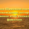 Фамилия Шумихин: исследуем происхождение, историю и склонение этой уникальной фамилии