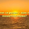 «Вроде» или «в роде» — как правильно пишется слово?