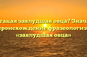 Кто такая заблудшая овца? Значение и происхождение фразеологизма «заблудшая овца»