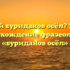 Кто такой буриданов осёл? Значение и происхождение фразеологизма «буриданов осёл»