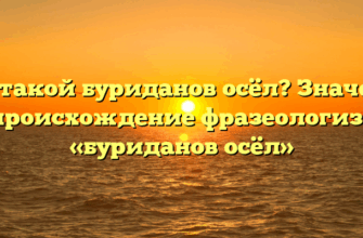 Кто такой буриданов осёл? Значение и происхождение фразеологизма «буриданов осёл»