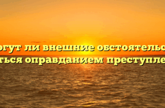 «Могут ли внешние обстоятельства являться оправданием преступления»