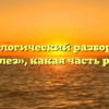 Морфологический разбор слова «полез», какая часть речи