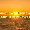 Морфологический разбор слова «порван», какая часть речи