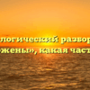 Морфологический разбор слова «разложены», какая часть речи