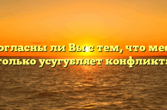 «Согласны ли Вы с тем, что месть только усугубляет конфликт»