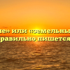«Земляные» или «земельные работы» — как правильно пишется слово?