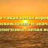 Кто такая белая ворона? Происхождение и значение фразеологизма «белая ворона»