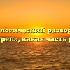 Морфологический разбор слова «одурел», какая часть речи