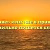 «Не вправе» или «не в праве» — как правильно пишется слово?