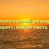 Морфологический разбор слова «заводят», какая часть речи