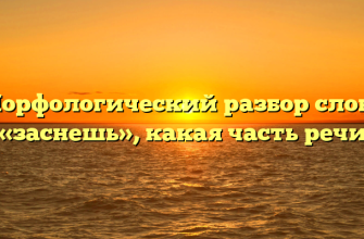 Морфологический разбор слова «заснешь», какая часть речи
