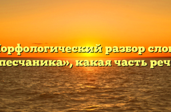 Морфологический разбор слова «песчаника», какая часть речи