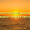 Морфологический разбор слова «тетрадки», какая часть речи