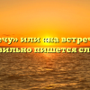 «Навстречу» или «на встречу» — как правильно пишется слово?