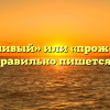 «Прожорливый» или «прожёрливый» — как правильно пишется слово?