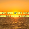 «Чего либо» или «чего-либо» — как правильно пишется слово?