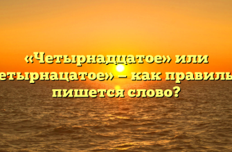 «Четырнадцатое» или «четырнацатое» — как правильно пишется слово?