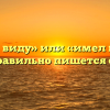 «Имел в виду» или «имел ввиду» — как правильно пишется слово?