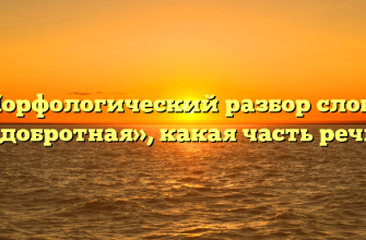 Морфологический разбор слова «добротная», какая часть речи