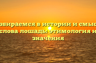 Разбираемся в истории и смысле слова лошадь: этимология и значения