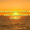«Хочешь-не хочешь» или «хочешь не хочешь» — как правильно пишется слово?