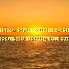 «Шкафчик» или «шкавчик» — как правильно пишется слово?