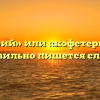 «Кафетерий» или «кофетерий» — как правильно пишется слово?