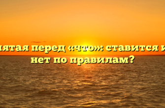 Запятая перед «что»: ставится или нет по правилам?