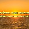 «Каллиграфия» или «калиграфия» — как правильно пишется слово?