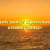 Кто такой заяц? Происхождение слова «заяц»