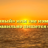 «Неизменный» или «не изменный» — как правильно пишется слово?