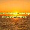 «Шёл» или «шол» — как правильно пишется слово?