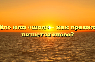 «Шёл» или «шол» — как правильно пишется слово?