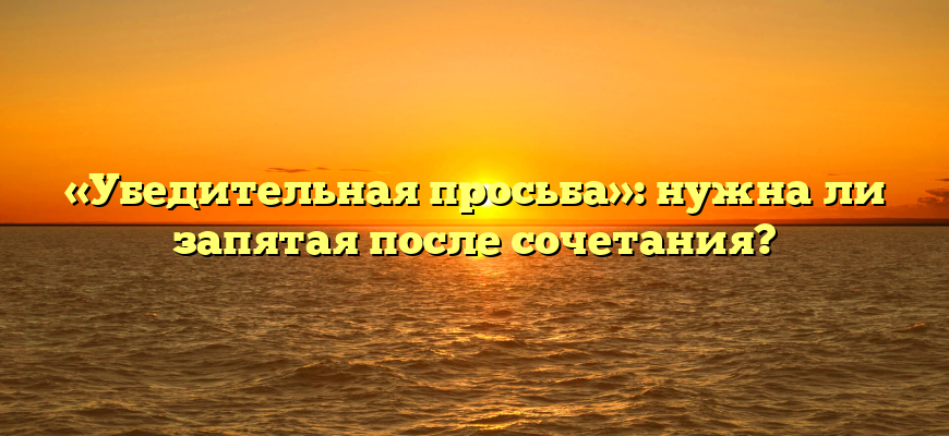 «Убедительная просьба»: нужна ли запятая после сочетания?