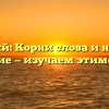 Вежливый: Корни слова и настоящее значение — изучаем этимологию