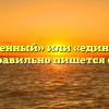 «Единственный» или «единичный» — как правильно пишется слово?