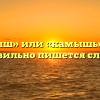 «Камыш» или «камышь» — как правильно пишется слово?