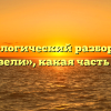 Морфологический разбор слова «провели», какая часть речи