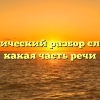 Морфологический разбор слова «хуй», какая часть речи
