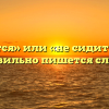 «Не сидится» или «не сидиться» — как правильно пишется слово?